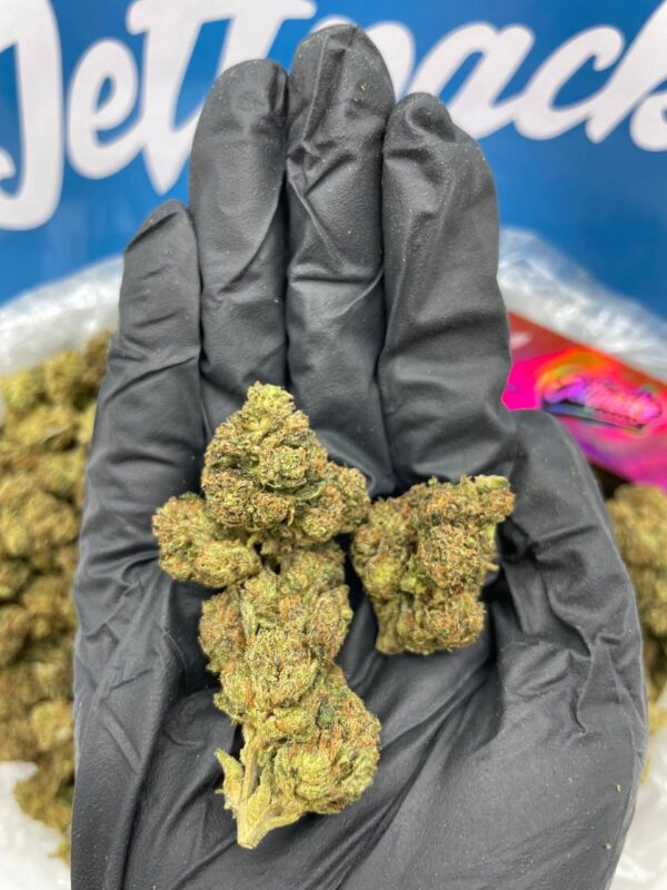 A close-up image of Marshmellow OG cannabis buds in a glass jar, showcasing its dense, frosty, and sweet-smelling flowers.