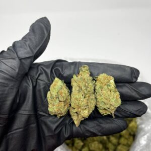 Cherry Cookies cannabis strain – Frosty buds with sweet cherry and cookie aroma, offering euphoric and relaxing effects.